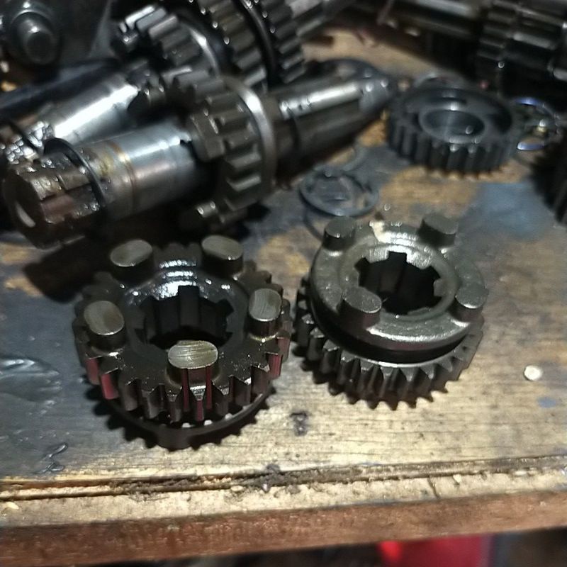 gigi 5 sekunder rasio tiger mata 28