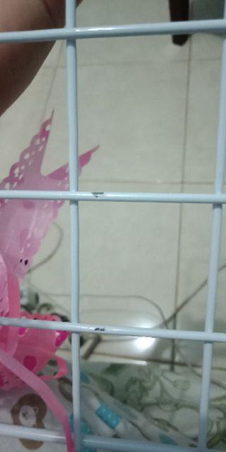 Kesi Putih Keranjang Besi Gantung Tempat Aksesoris Serbaguna Rak Bumbu Dapur Wall Grid Dekorasi