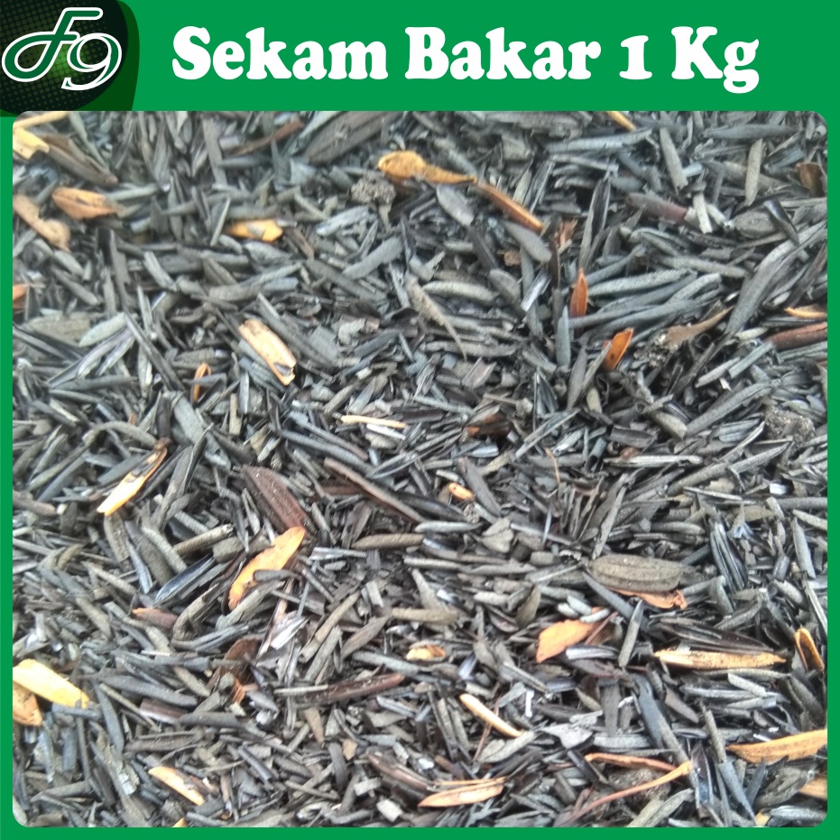 Media Tanam Sekam Bakar Murni 1 Kg