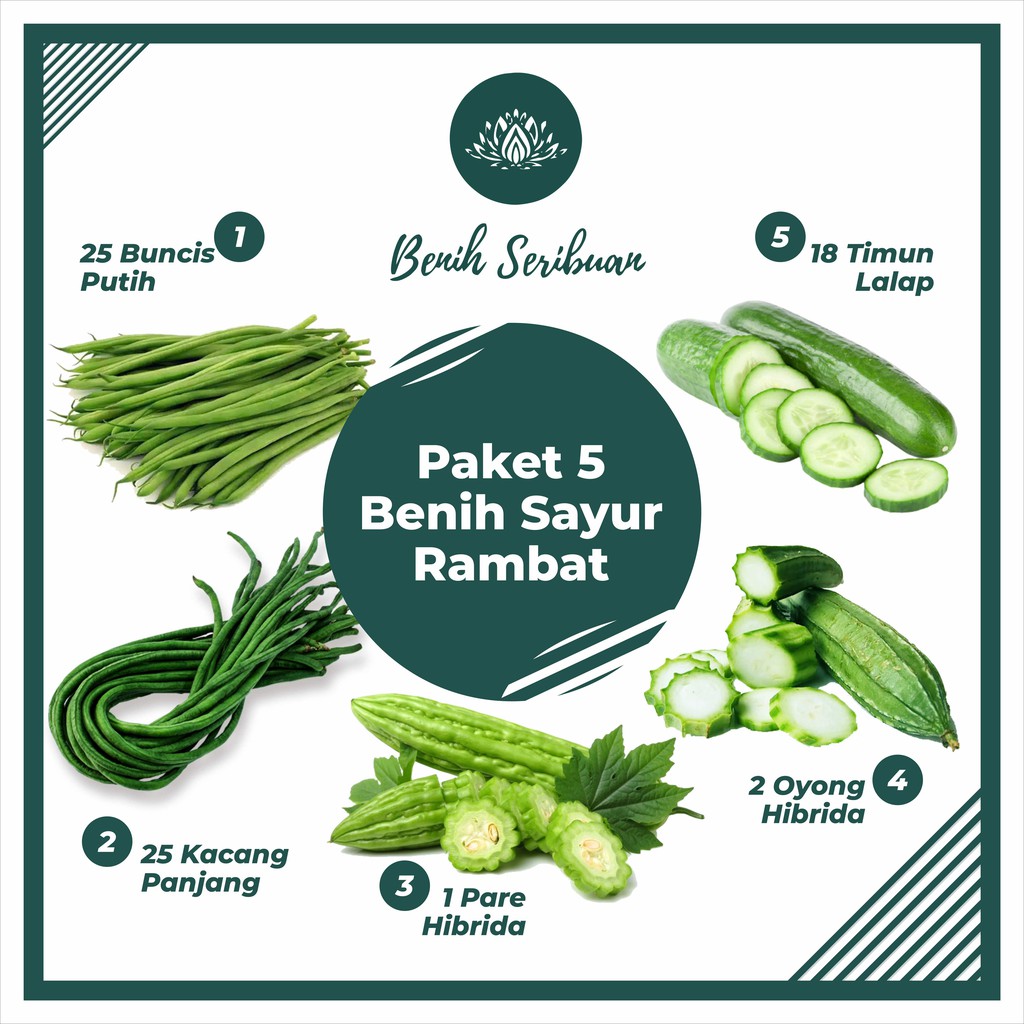 Bibit Sayuran Paket 5 Macam Benih Sayur Rambat Merambat Buncis Kacang Pare Oyong Timun Panjang Lalap