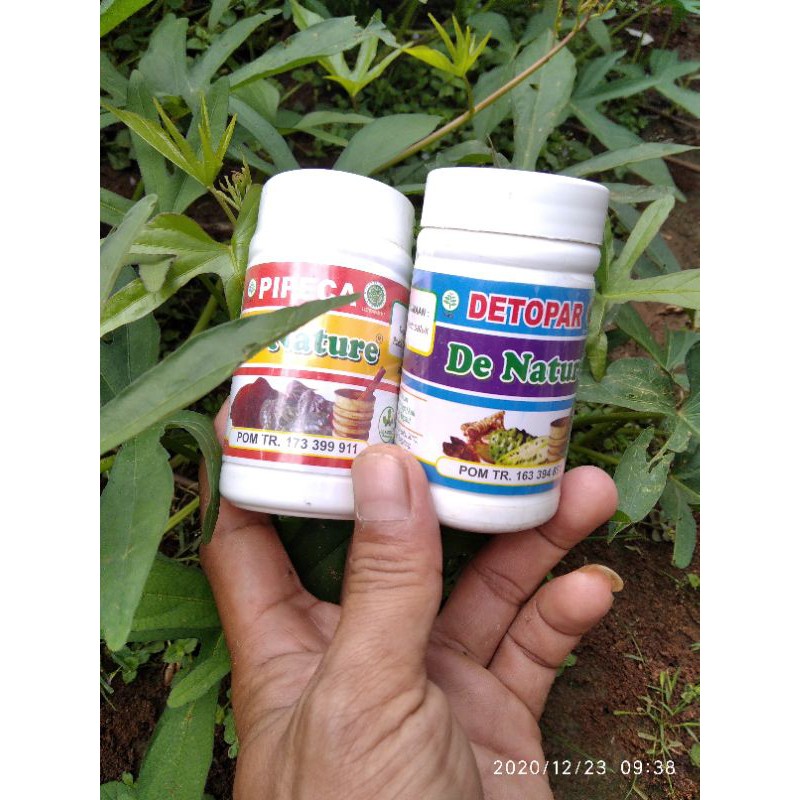 OBAT PENYAKIT PARU PARU, INFEKSI PARU PARU YANG PALING AMPUH