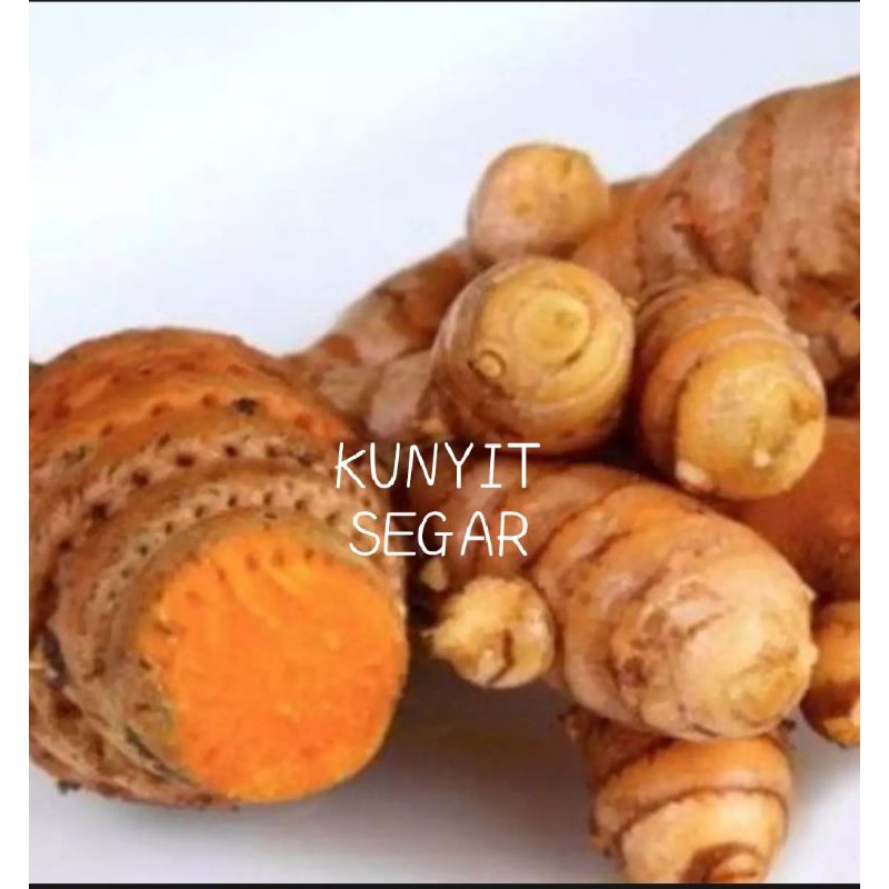 

Kunyit Kuning Segar 1kg langsung ambil frest