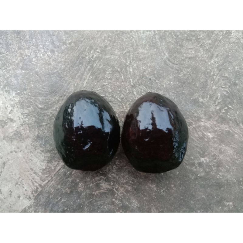 Muncang adu Jawa Malangbong 1 paket