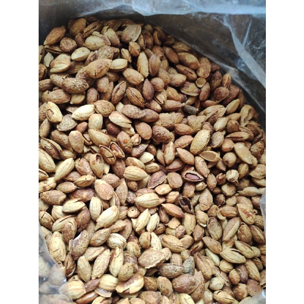 kacang Almond kulit panggang 500gr | rasa susu | milk flavor