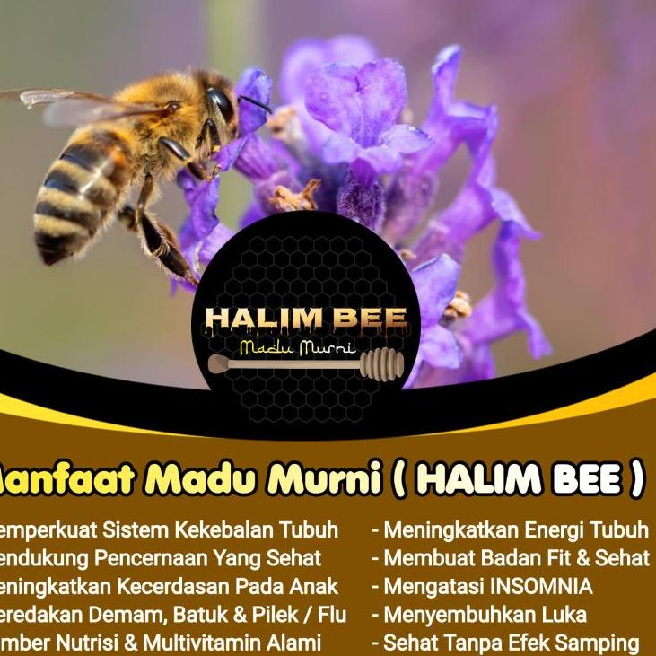 

CODEIi7I2--Madu Murni ORIGINAL Madu Mentah Grade A Akasia Crasiacarpa 1kg. - HALIMBEE