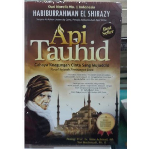 Novel Api Tauhid