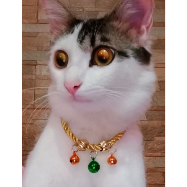 kalung kucing gold lonceng nyaring bunyinya