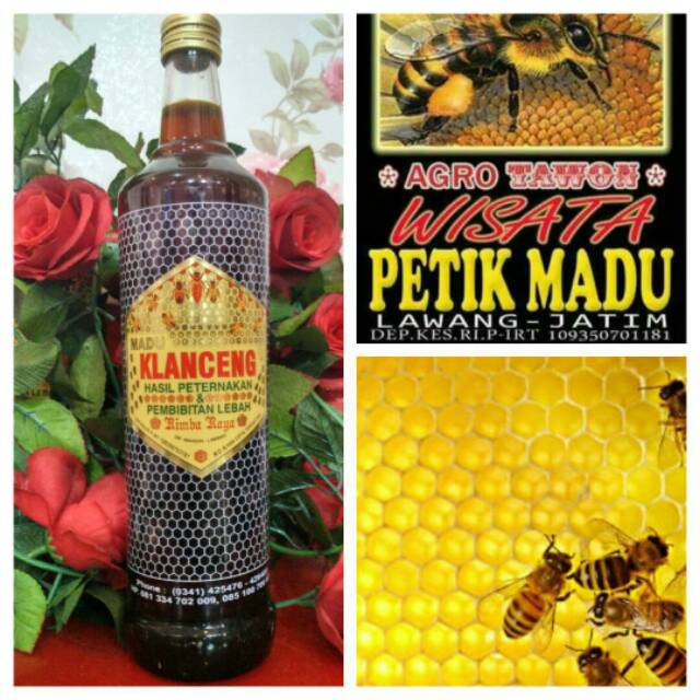 

Promo MADU MURNI TAWON KLANCENG 600ML Berkualitas