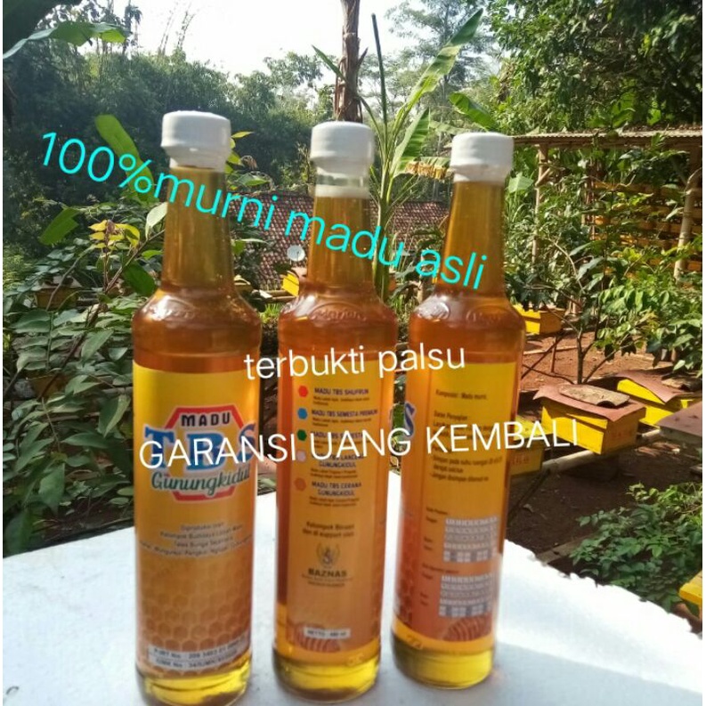 

Madu TBS murni nektar bunga asli gunungkidul