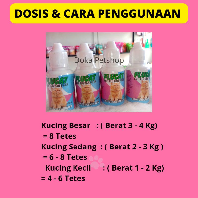 Obat Flu dan Pilek Kucing Flu Cat