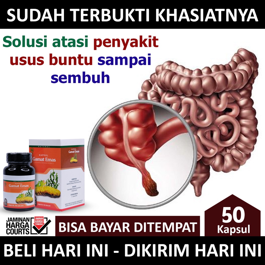 Obat Untuk Penyakit Usus / Obat Herbal Usus Buntu / Obat Tradisional Usus Buntu / Obat Usus Turun / 
