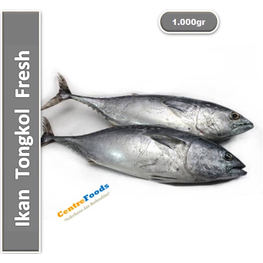 

Ikan Tongkol Fresh - Abu-Abu | 1.000gr [ Harga Per KG ]