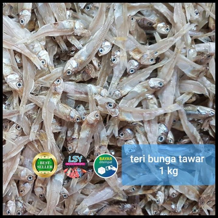 

Teri Bunga Tawar Super 1 Kg