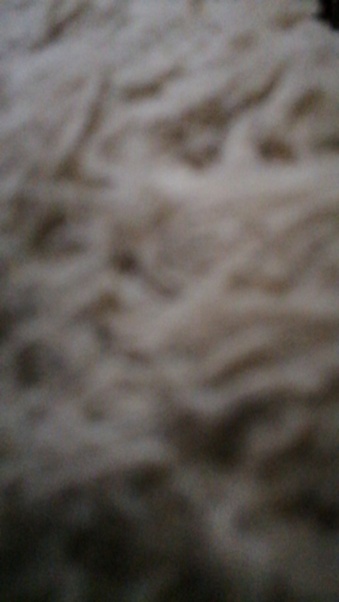 Rak Piring Lipat Tirisan Gratis Pisau Buah Mini Promo