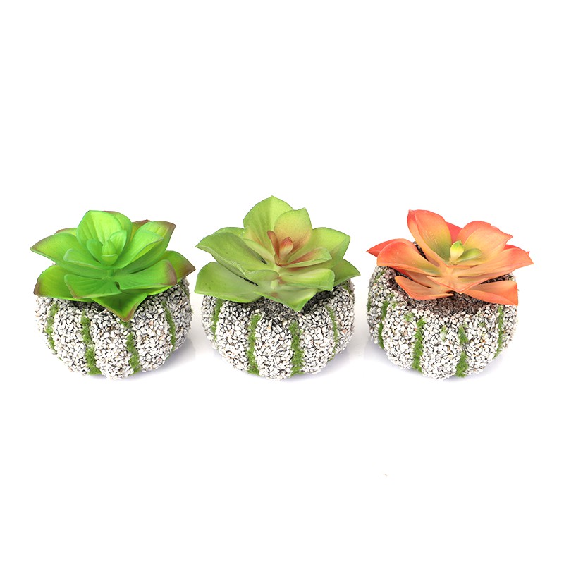 

Ecentio tanaman Succulent buatan dekorasi dekstop dengan pot