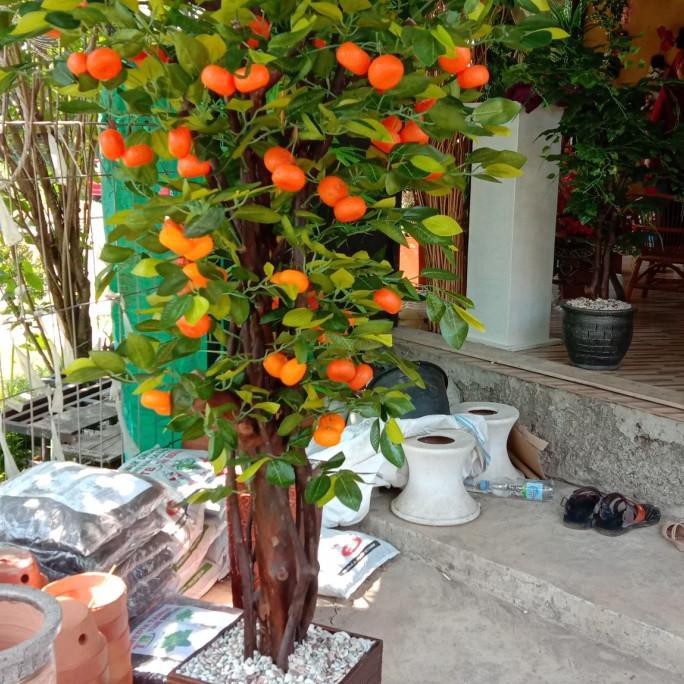Pohon Jeruk Plastik, Pohon Artificial Tinggi 2 Meter