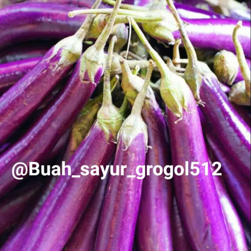 

Terong ungu _ 500gr