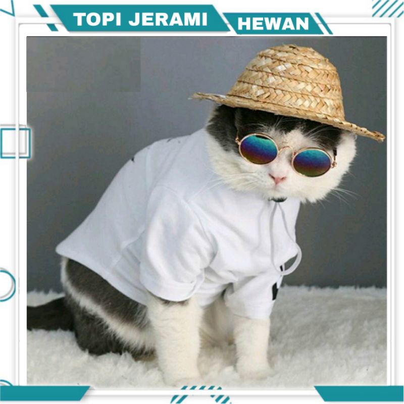 Topi Jerami Mini Untuk Aksesoris Kucing/Anjing Peliharaan