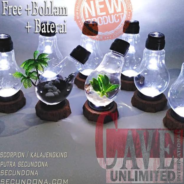 Vbtー Terrarium Aquarium Unik Lampu Meja Kamar Hiasan Rumah Kantor