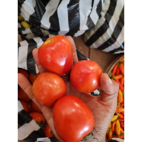 

cod instan bumbu dapur base base tomat murah tomato ranti