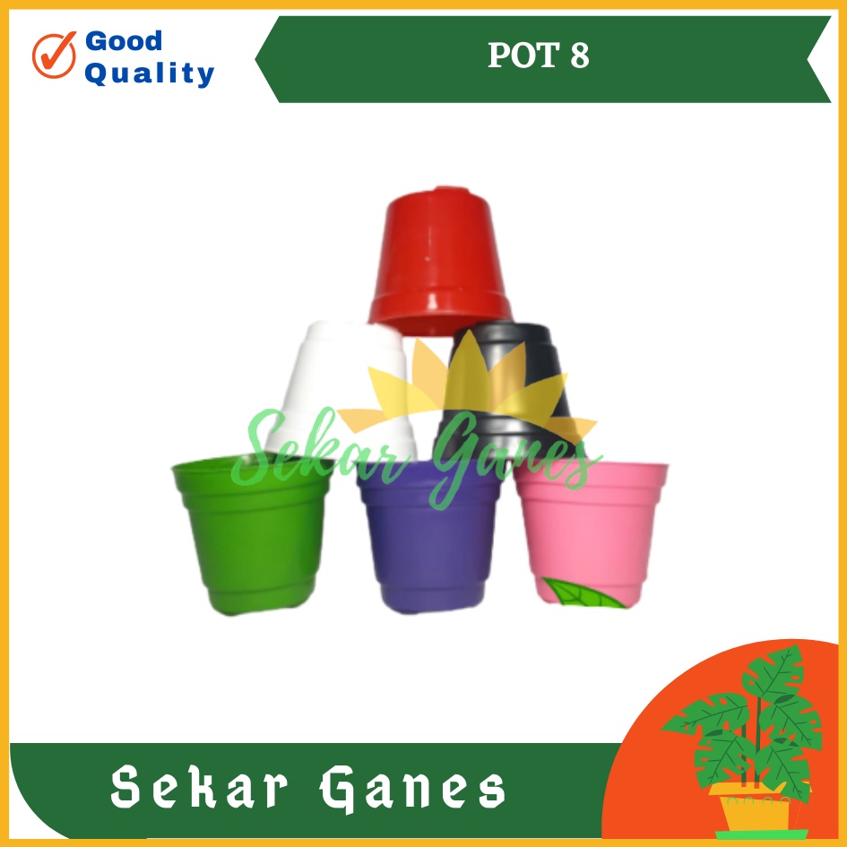 POT GOL 8 CM PELANGI KECIL KAKTUS | Ice cream Pot Tanpa Lubang 8 cm Pot Hidroponik Pot Es Krim 8cm.