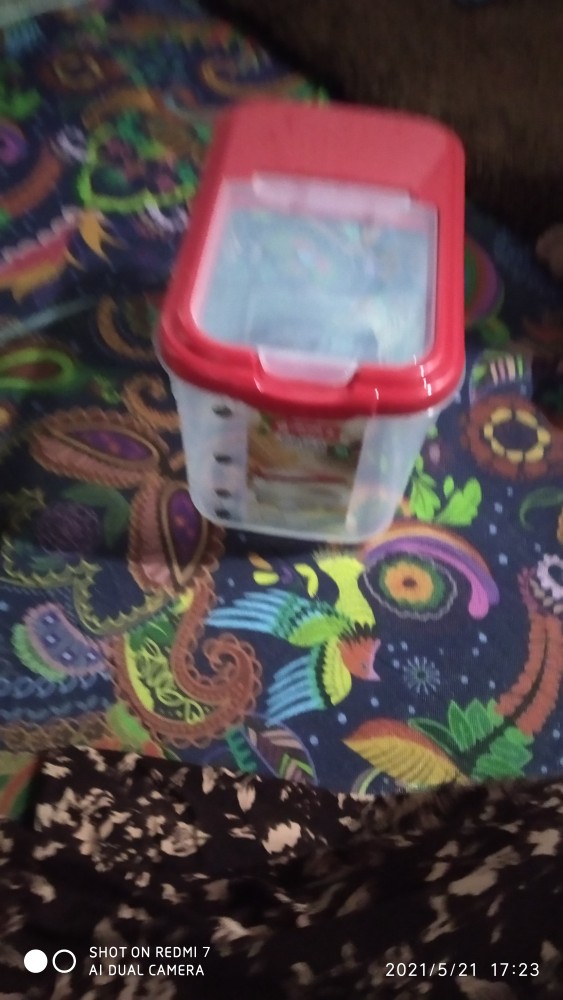 Box Beras Lion Star Oriza 6.5 Kg/tempat Beras (model Tutup Flip) Lion Star 6.5 Kg