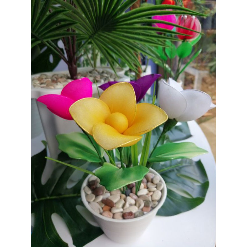 mawar sembul stocking