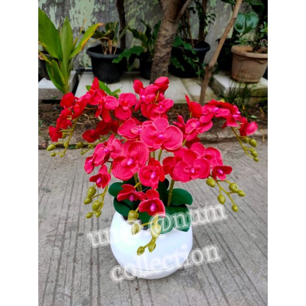 anggrek mini artificial pot bola besar