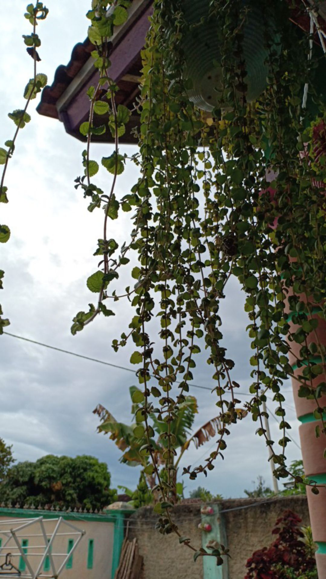 Batik Jumbo Big Size Jumbo M,l,xl,xxl,3xl,4xl,5xl,6xl,7xl,8xl,9xl,10xl,murah Batik Jumbo Couple