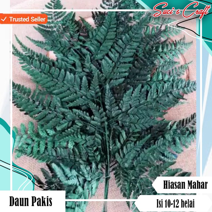 Daun Pakis Kering Daun Paku Kering Hiasan Mahar rustic