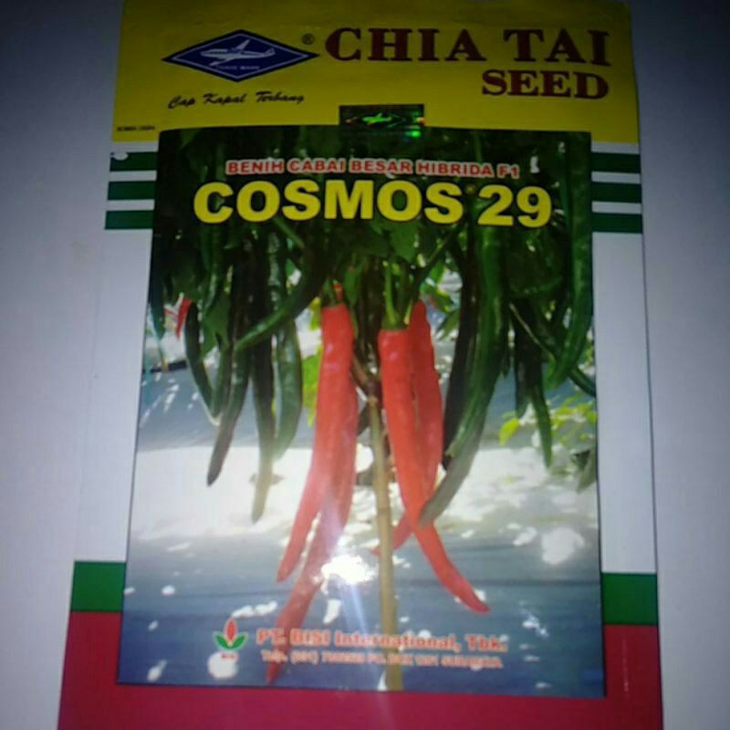 BENIH / BIBIT CABE/CABAI BESAR HIBRIDA F1 COSMOS 29