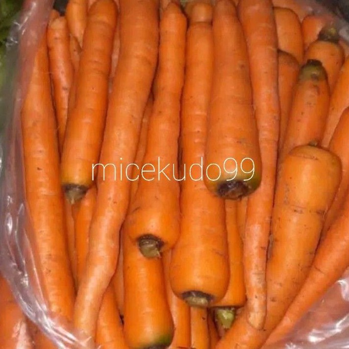 

WORTEL LOKAL SEGAR ORGANIK / FRESH ORGANIC LOCAL CARROT SAYUR