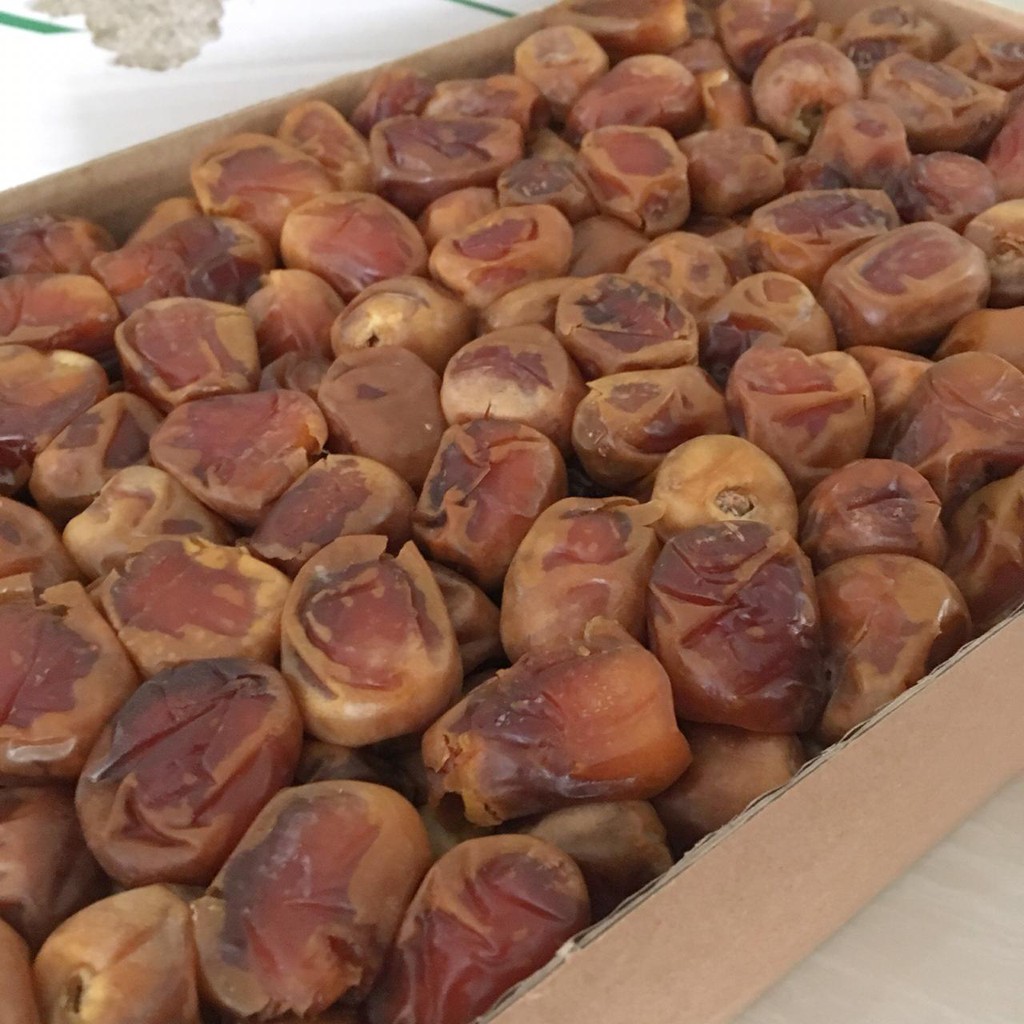 

Kurma Sukari Madinah Al Qashim Basah dan Lembut 3 kilo