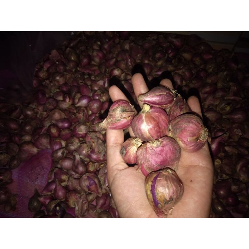 

Bawang Merah Brebes 1kg/1000g Campur