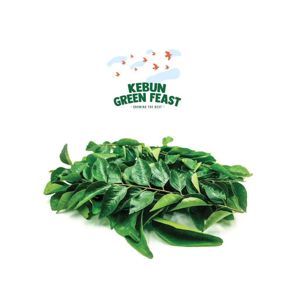 

Daun Kari(Bumbu Dapur)