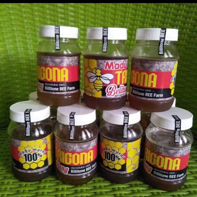 

Madu trigona