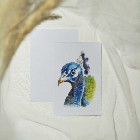 

Greeting card/Postcard/kartu pos burung merak l Original Watercolor Art Print