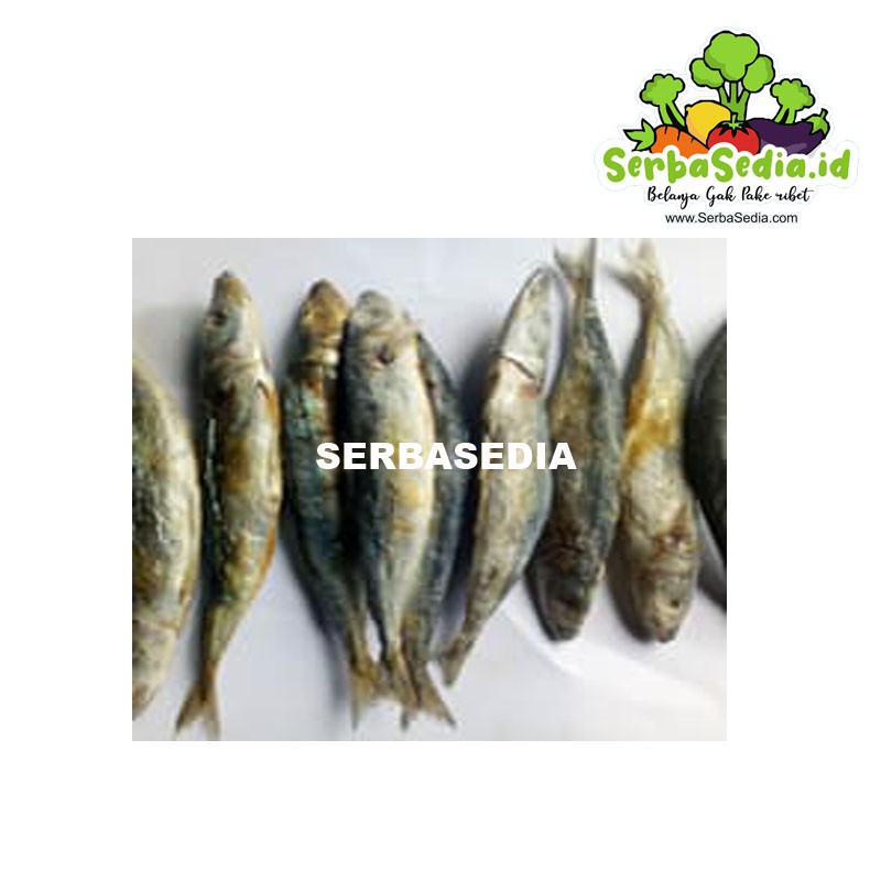 

GEREH PEDO (100gr)