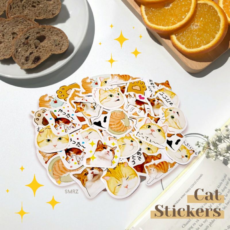 

Cat Stickers - Stiker Aesthetic Kucing Orange / Kocheng Oren / Stiker Kawai