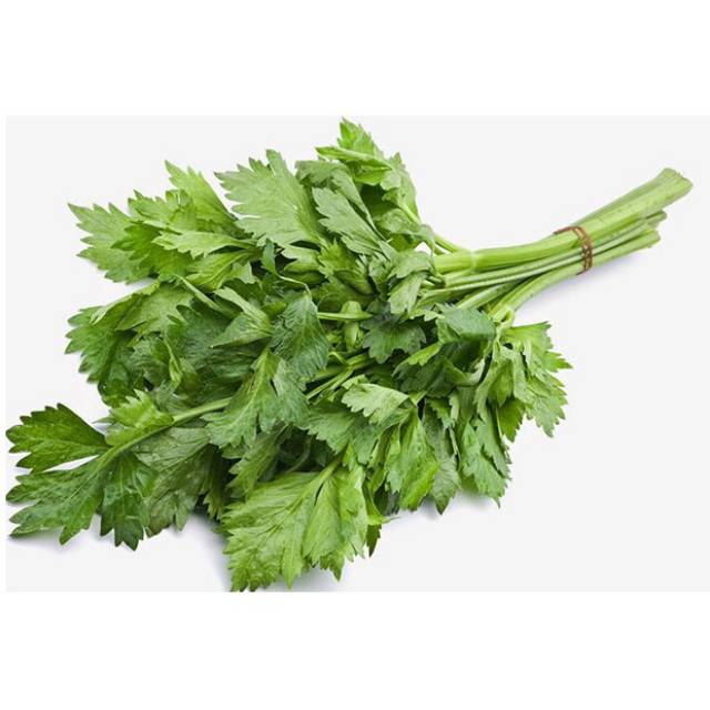 

DAUN SOP/SELEDRI (250GR)