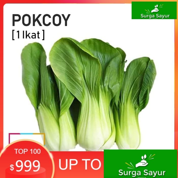 

SURGA SAYUR POKCOI / POKCOY SAYUR [1 Ikat, ±150g] SEJABODETABEK BISA KIRIM INSTANT DGN GOSEND/ GRA