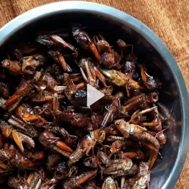 

Belalang goreng khas Gunungkidul