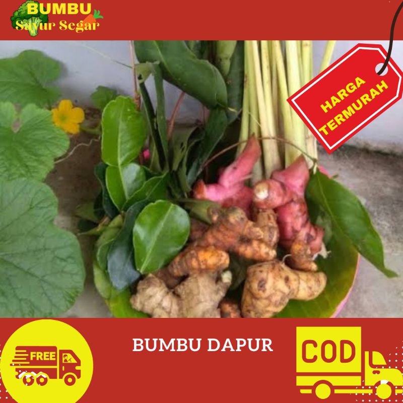 

BUMBU DAPUR 1 BUNGKUS