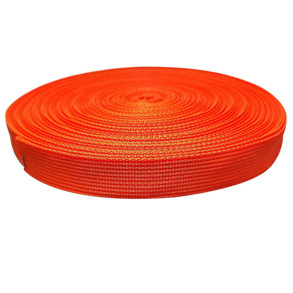 TALI WEBBING TAS LT 2.5 CM ECER METERAN