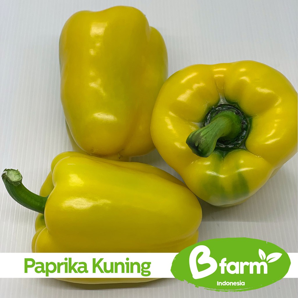 

Paprika Kuning 250 Gr (Area Bandung & Cimahi only) - Sayur Rumahan