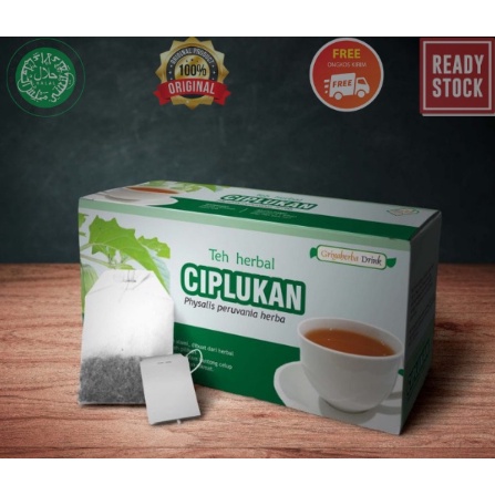 TEH HERBAL CIPLUKAN ASLI. OBAT DIABET. PEMBENGKAKAN,BATUK,SAKIT TENGGOROKAN ORIGINAL 20 kantong