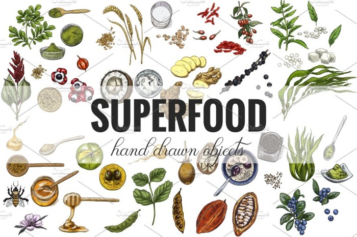 Superfood Vector Collection - Vector Designs - Business Branding