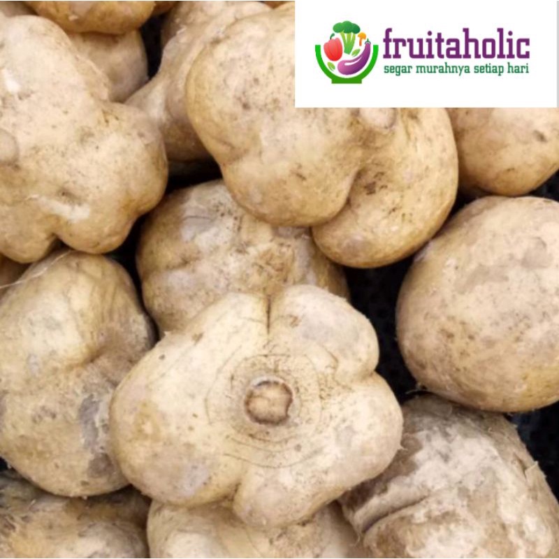 

BENGKUANG / Jicama (per KG)