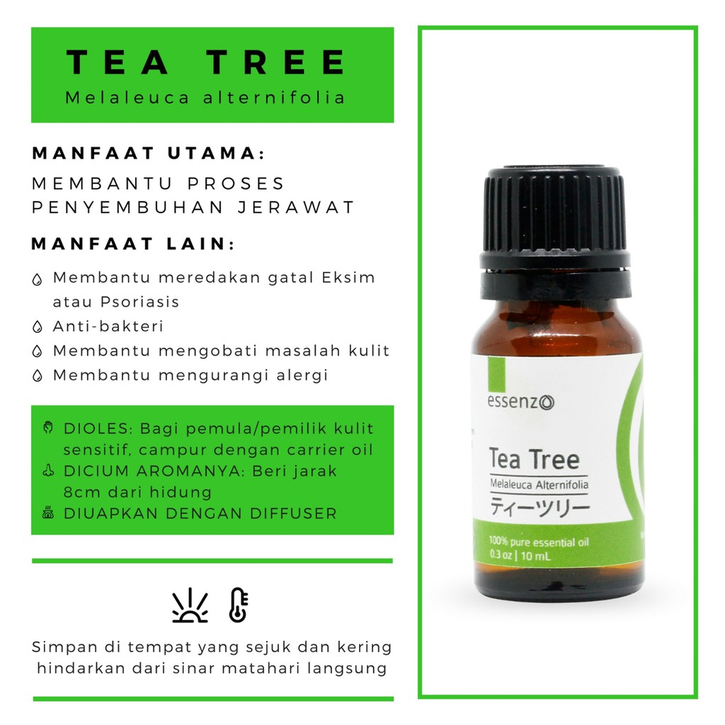 Tea Tree Essential Oil Solusi Jerawat Menghilangkan Bekas Jerawat Anda Indonesia