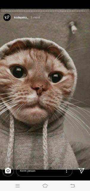 Sikat Kawat Putih Baja Gagang Kayu